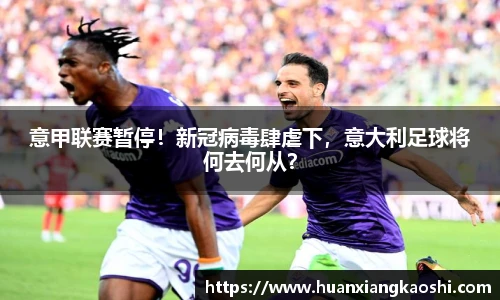 BSports网页版
