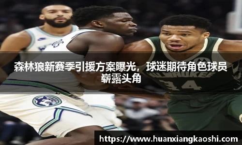 森林狼新赛季引援方案曝光，球迷期待角色球员崭露头角